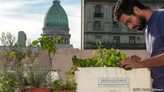 Prédios argentinos pagarão menos imposto por ter jardins no telhado (Foto: BBC)