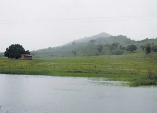 Na zona rural de Várzea Alegre, a paisagem verde já desponta com as primeiras chuvas da estação que poderá prosseguir até maio FOTO: HONÓRIO BARBOSA