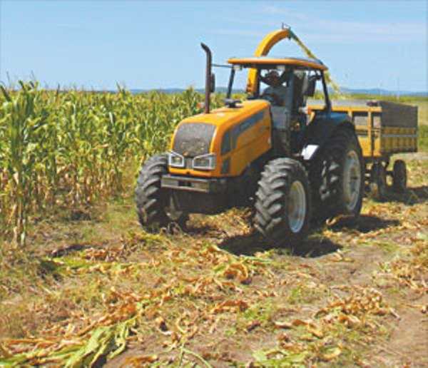 Máquina faz a retirada da terra para a passagem da água destinada ao cultivo FOTO: HONÓRIO BARBOSA