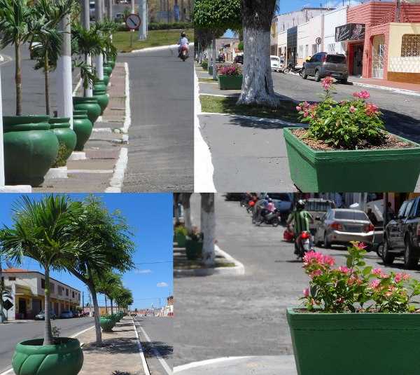 Jarros ornamentais dão visual atraente às avenidas de Acopiara