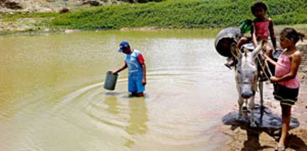 No sítio Aceno, a escassez de água vem se agravando. Mesmo assim, é ainda a única alternativa de abastecimento para as comunidades FOTO: HONÓRIO BARBOSA