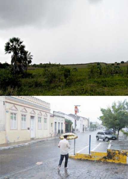 Paisagem verde já aparece no sertão com as primeiras precipitações. Fotos: honório barbosa