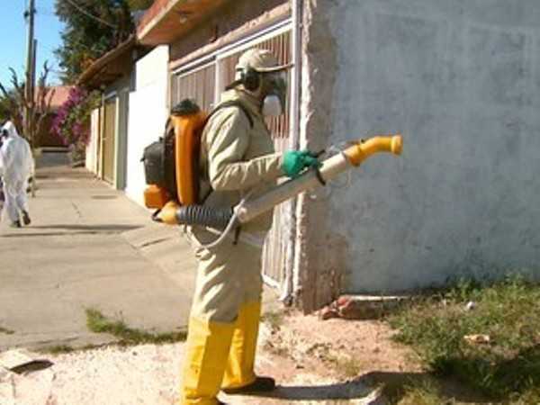 Nebulização contra dengue é realizada em Fortaleza(Foto: Paulo Chiari/G1)