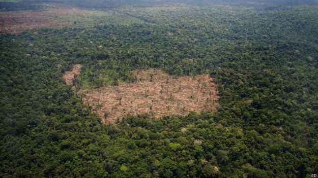 Brasil perdeu capital florestal e foi ultrapassado pela China (Foto: AP)