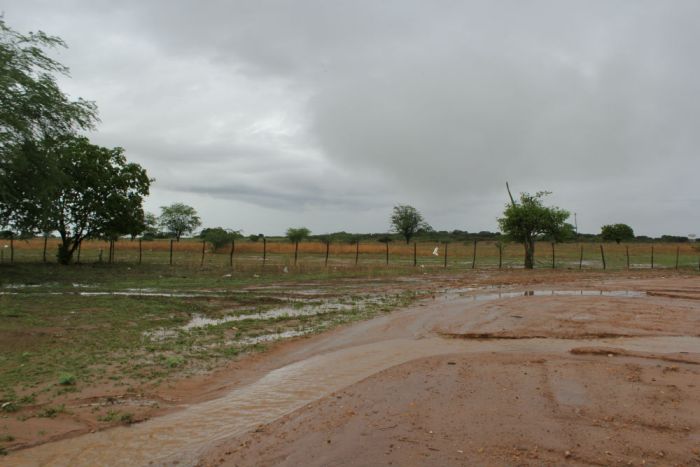 A zona rural de Iguatu amanheceu banhada com a chuva de 63 milímetros HONÓRIO BARBOSA