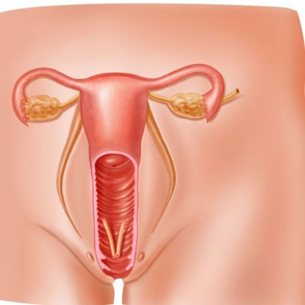 A vagina tem um ph ácido, uma defesa natural para combater infecções 