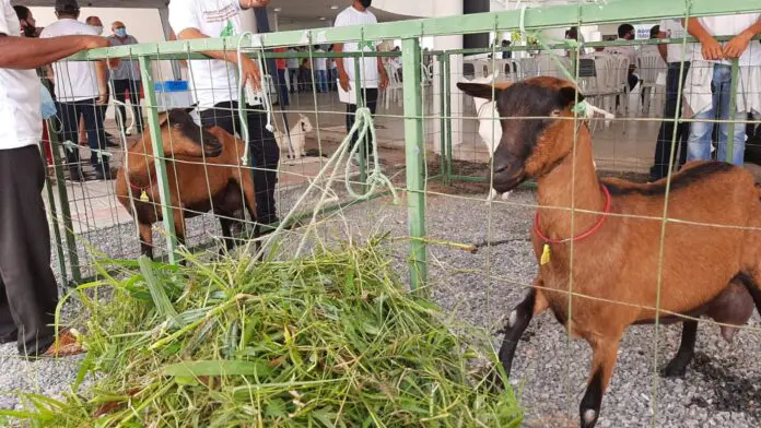 Cerca de 150 produtores sao acompanhados pelo programa FOTO TH